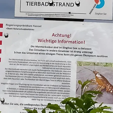Zum Märchenwald * Bad Wildungen