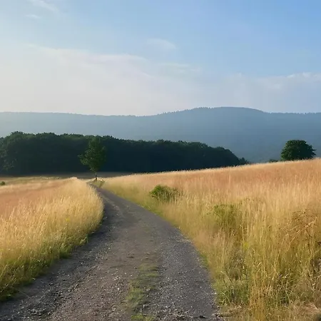 Zum Märchenwald Apartment Bad Wildungen