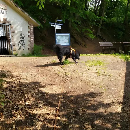 Zum Maerchenwald Appartement